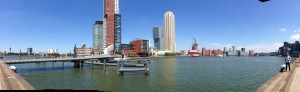 cropped-image9.jpg