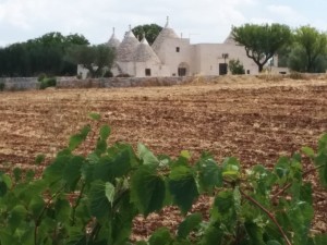 Trulli bei Martina Franca